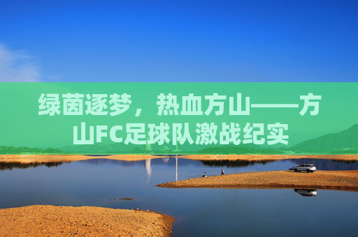 绿茵逐梦,热血方山——方山FC足球队激战纪实