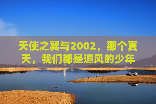 天使之翼与2002,那个夏天,我们都是追风的少年