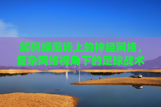 解码绿茵场上的神经网络，复杂网络视角下的足球战术演变