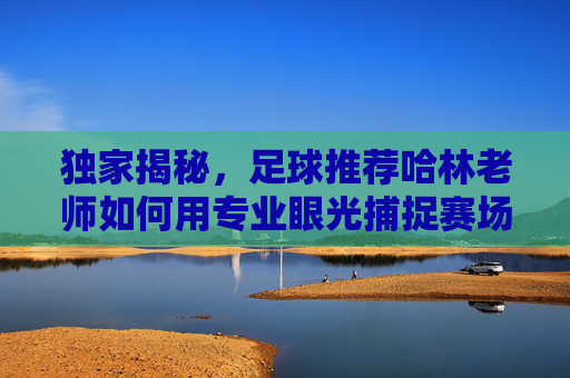 独家揭秘,足球推荐哈林老师如何用专业眼光捕捉赛场红利