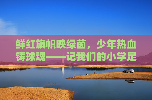 鲜红旗帜映绿茵，少年热血铸球魂——记我们的小学足球队队旗