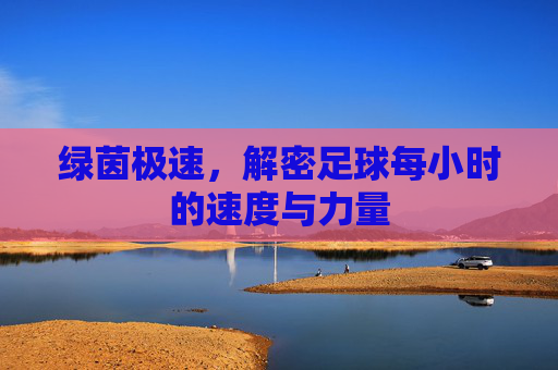 绿茵极速,解密足球每小时的速度与力量