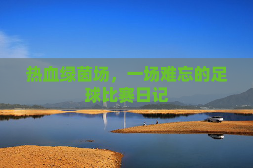 热血绿茵场,一场难忘的足球比赛日记