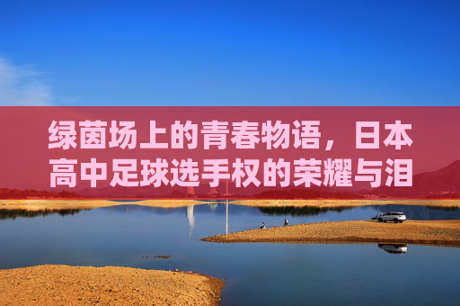 绿茵场上的青春物语，日本高中足球选手权的荣耀与泪水