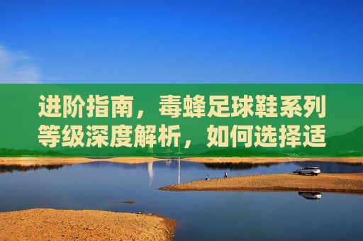 进阶指南,毒蜂足球鞋系列等级深度解析,如何选择适合你的战靴?
