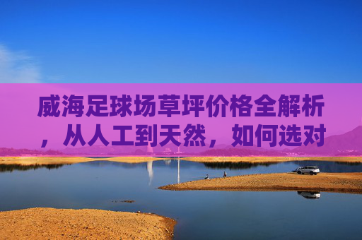 威海足球场草坪价格全解析，从人工到天然，如何选对不选贵？