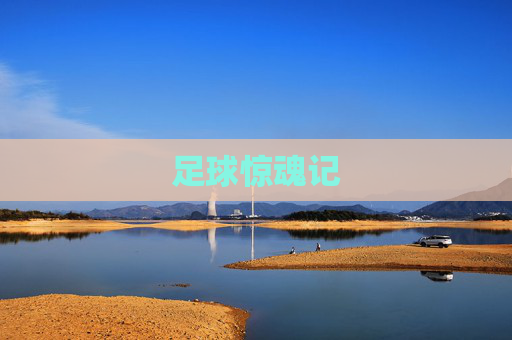 足球惊魂记