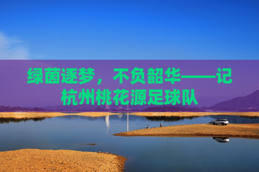 绿茵逐梦，不负韶华——记杭州桃花源足球队