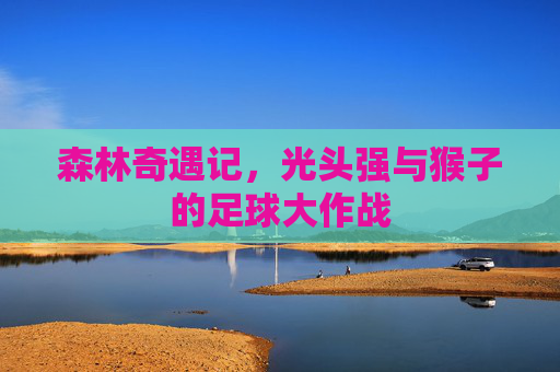 森林奇遇记，光头强与猴子的足球大作战