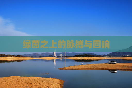 绿茵之上的脉搏与回响