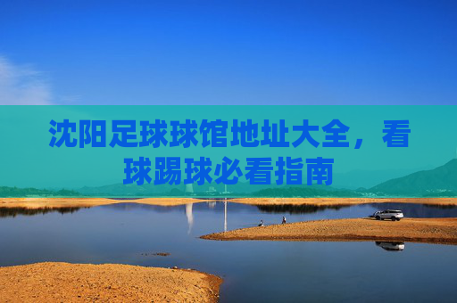 沈阳足球球馆地址大全，看球踢球必看指南