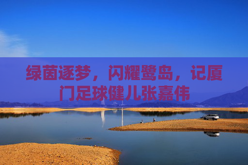 绿茵逐梦，闪耀鹭岛，记厦门足球健儿张嘉伟
