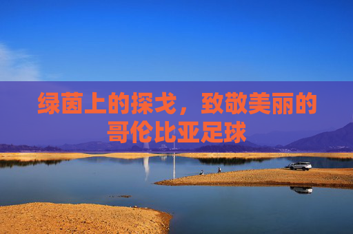 绿茵上的探戈，致敬美丽的哥伦比亚足球