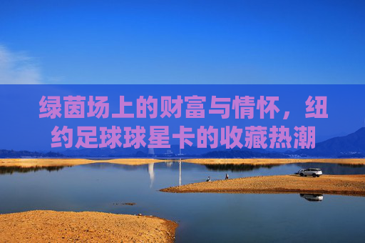 绿茵场上的财富与情怀，纽约足球球星卡的收藏热潮