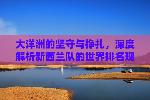 大洋洲的坚守与挣扎，深度解析新西兰队的世界排名现状