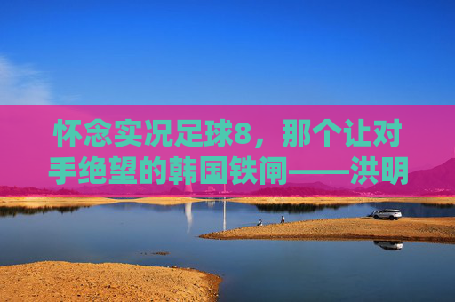 怀念实况足球8,那个让对手绝望的韩国铁闸——洪明甫