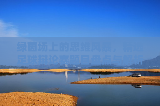 绿茵场上的思维风暴，精选足球辩论赛题目盘点与解析