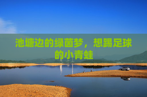 池塘边的绿茵梦，想踢足球的小青蛙
