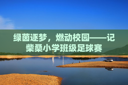 绿茵逐梦，燃动校园——记柴桑小学班级足球赛