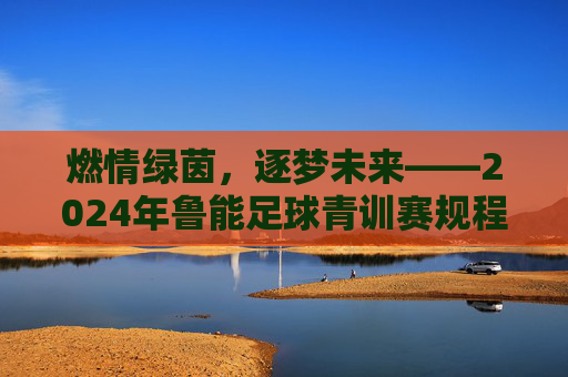 燃情绿茵，逐梦未来——2024年鲁能足球青训赛规程全解析