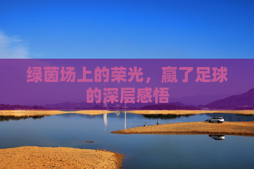 绿茵场上的荣光，赢了足球的深层感悟