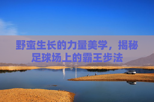 野蛮生长的力量美学,揭秘足球场上的霸王步法