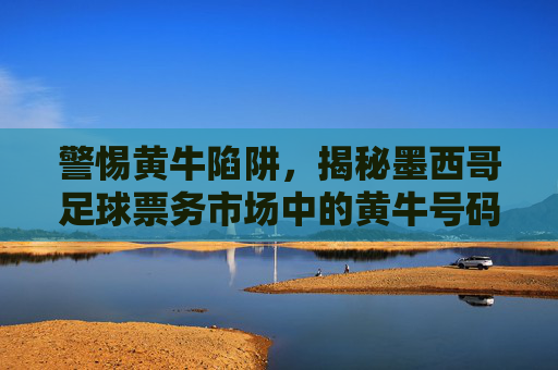 警惕黄牛陷阱，揭秘墨西哥足球票务市场中的黄牛号码