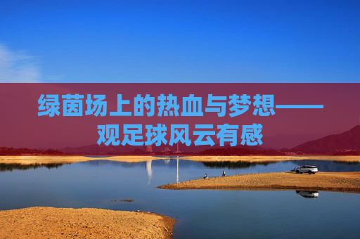 绿茵场上的热血与梦想——观足球风云有感