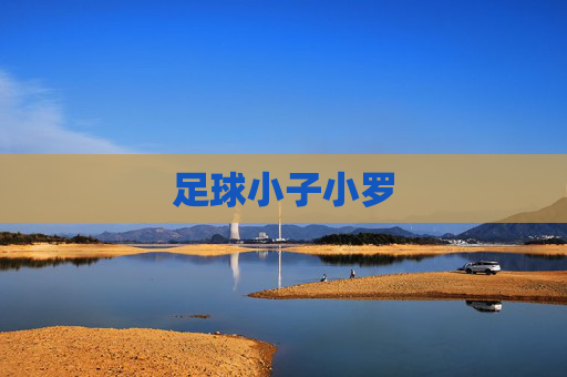 足球小子小罗