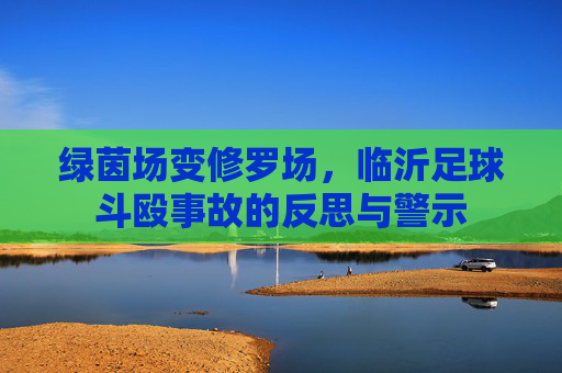 绿茵场变修罗场，临沂足球斗殴事故的反思与警示