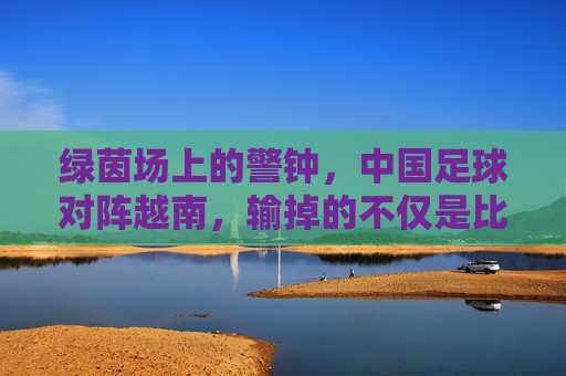绿茵场上的警钟，中国足球对阵越南，输掉的不仅是比分