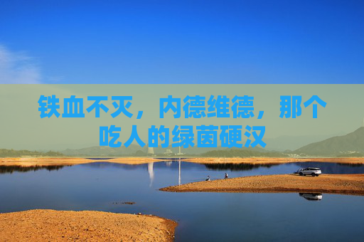 铁血不灭，内德维德，那个吃人的绿茵硬汉