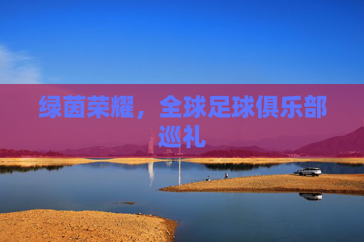 绿茵荣耀，全球足球俱乐部巡礼