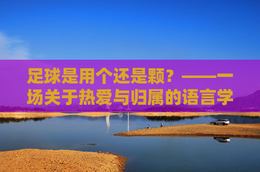 足球是用个还是颗？——一场关于热爱与归属的语言学辩证