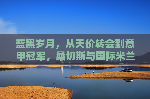蓝黑岁月，从天价转会到意甲冠军，桑切斯与国际米兰的爱恨情仇