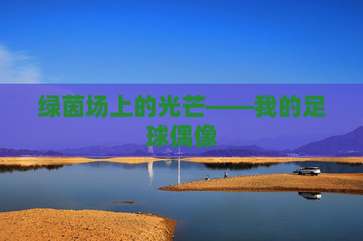 绿茵场上的光芒——我的足球偶像