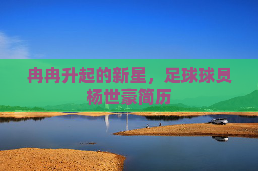冉冉升起的新星,足球球员杨世豪简历