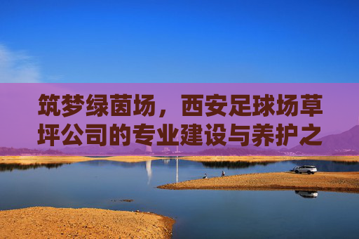 筑梦绿茵场，西安足球场草坪公司的专业建设与养护之道