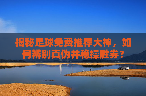 揭秘足球免费推荐大神，如何辨别真伪并稳操胜券？