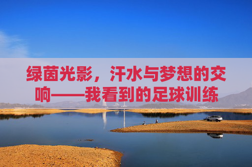 绿茵光影，汗水与梦想的交响——我看到的足球训练