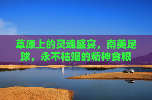 草原上的灵魂盛宴，南美足球，永不枯竭的精神食粮