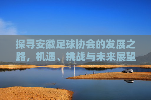 探寻安徽足球协会的发展之路，机遇、挑战与未来展望