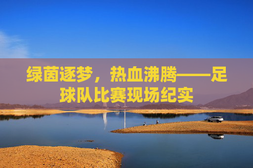 绿茵逐梦,热血沸腾——足球队比赛现场纪实