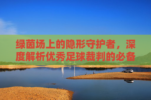 绿茵场上的隐形守护者,深度解析优秀足球裁判的必备条件