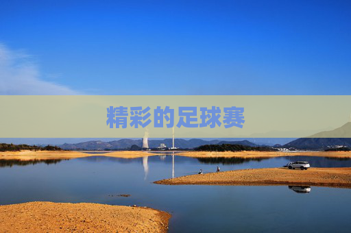 精彩的足球赛