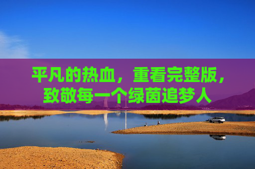 平凡的热血，重看完整版，致敬每一个绿茵追梦人