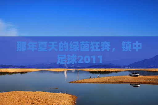 那年夏天的绿茵狂奔，镇中足球2011