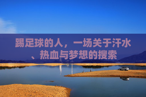 踢足球的人，一场关于汗水、热血与梦想的搜索