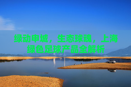 绿动申城,生态球魂,上海绿色足球产品全解析