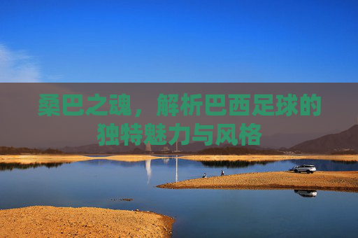 桑巴之魂,解析巴西足球的独特魅力与风格